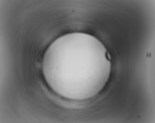 X0000113960040200910162014