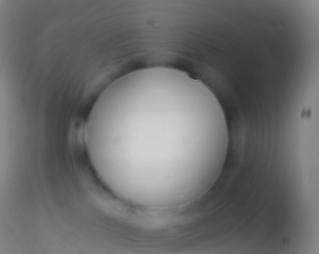 X0000113960041200910162014