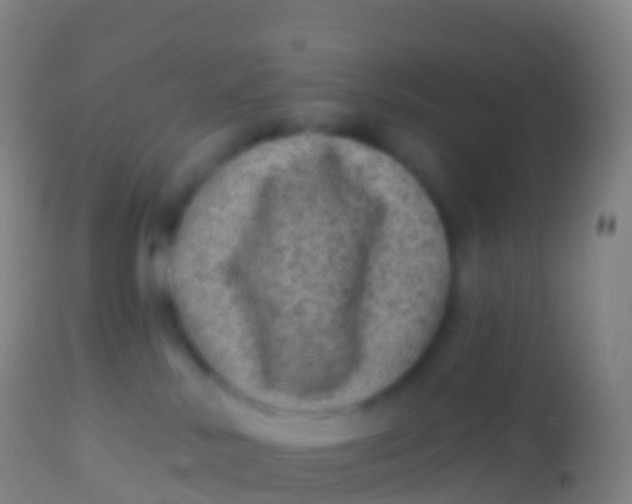 X0000113960042200910162014