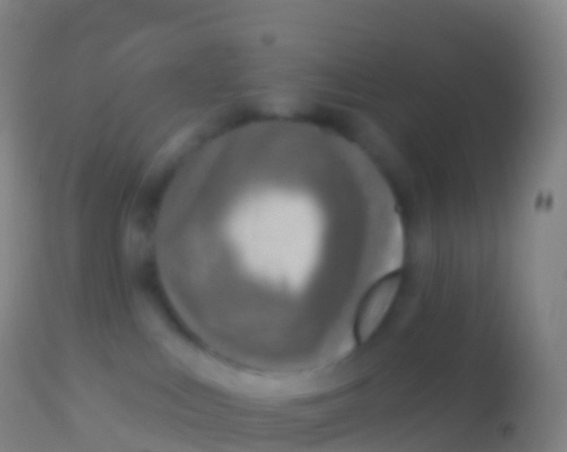 X0000113960043200910162014