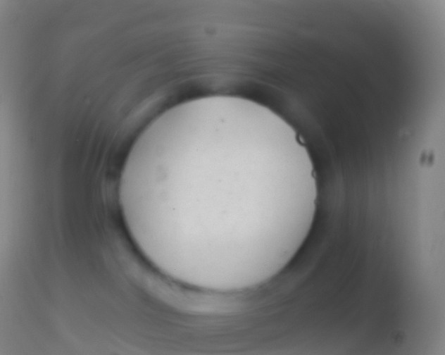 X0000113960044200910162014