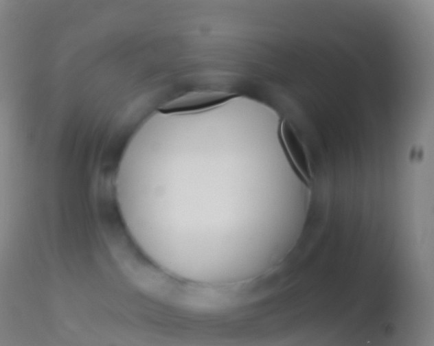 X0000113960045200910162014