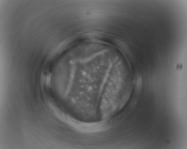 X0000113960046200910162014