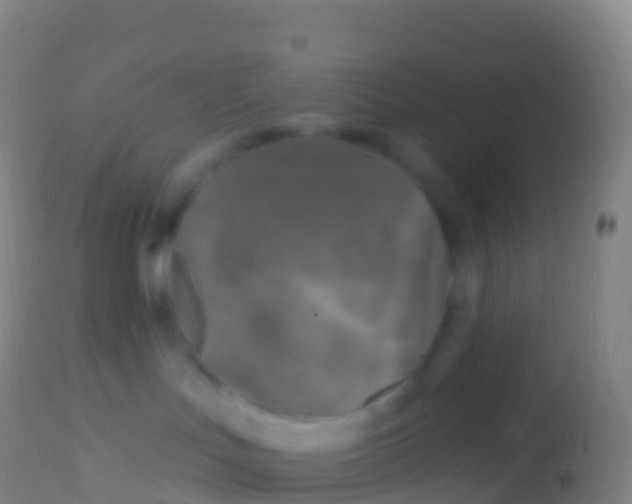 X0000113960047200910162014