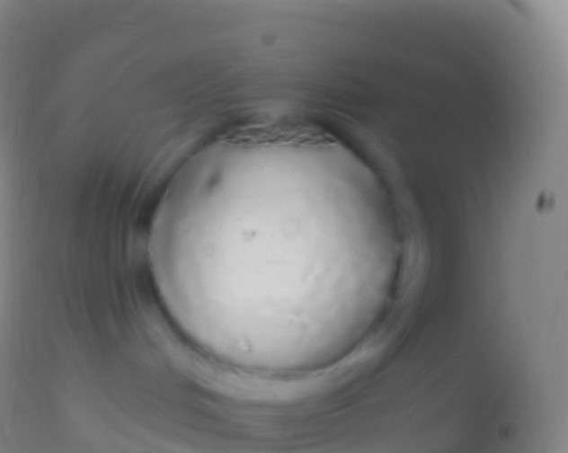 X0000113960048200910162014