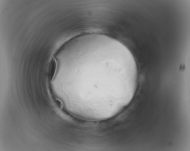 X0000113960049200910162013