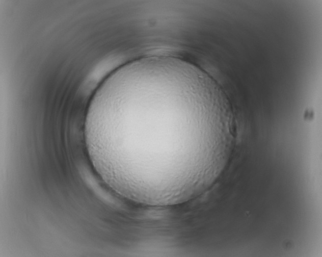 X0000113960050200910162013