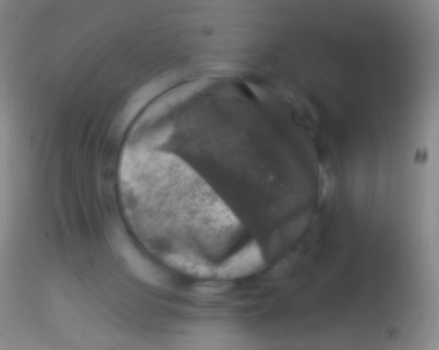 X0000113960051200910162013