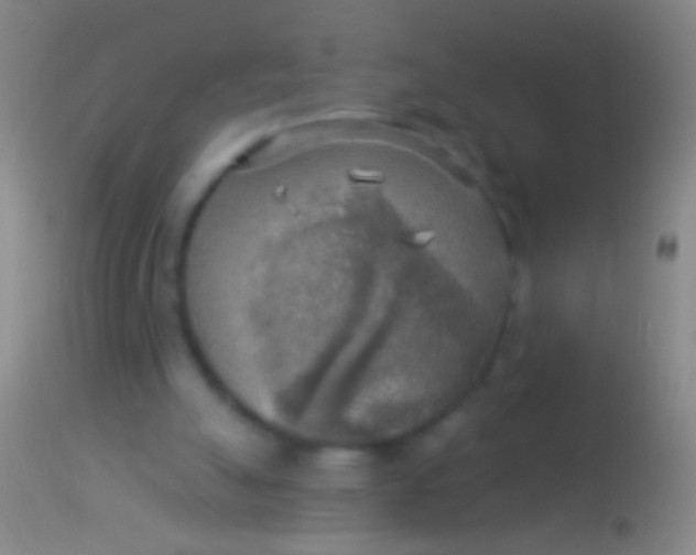 X0000113960055200910162013