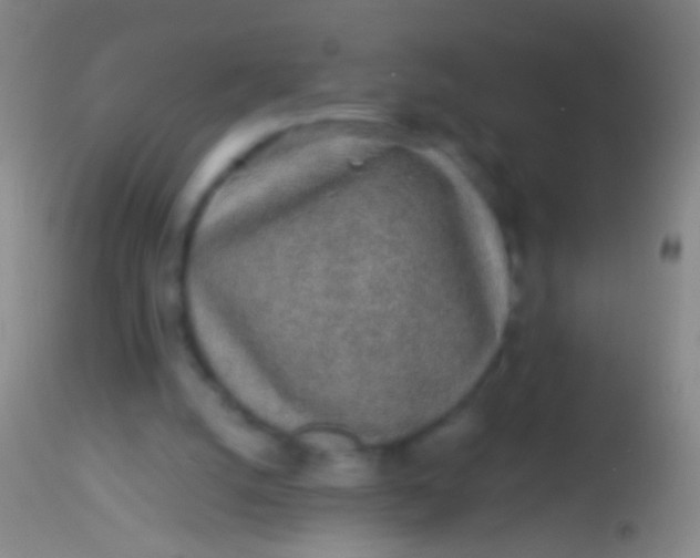 X0000113960056200910162013