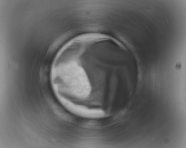 X0000113960058200910162013