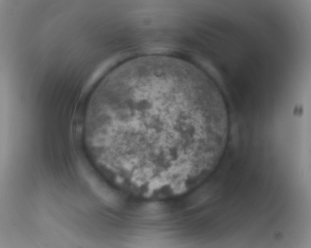 X0000113960059200910162013