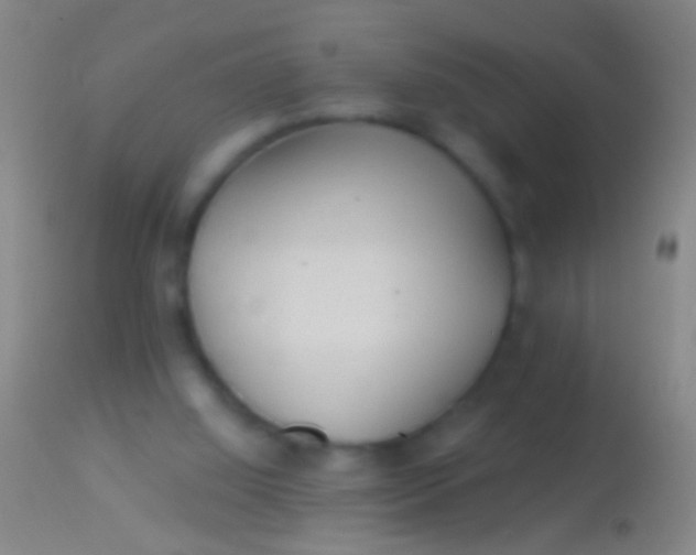 X0000113960060200910162013