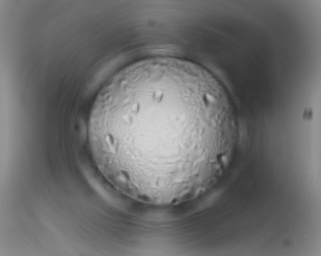 X0000113960061200910162013