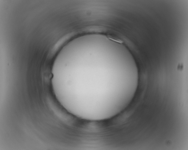 X0000113960064200910162013