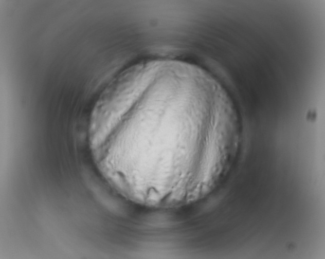 X0000113960065200910162013