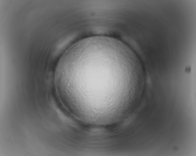 X0000113960066200910162013