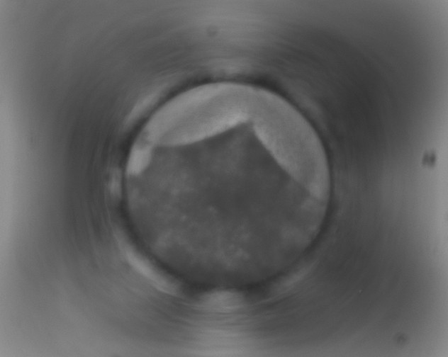 X0000113960067200910162013