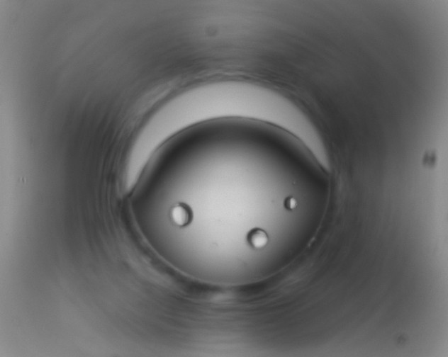 X0000113960068200910162013