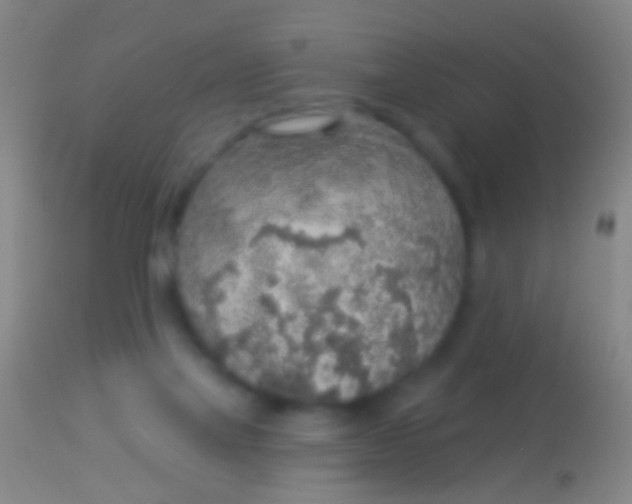 X0000113960069200910162013