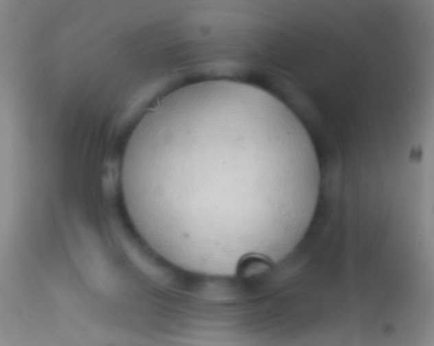 X0000113960070200910162013