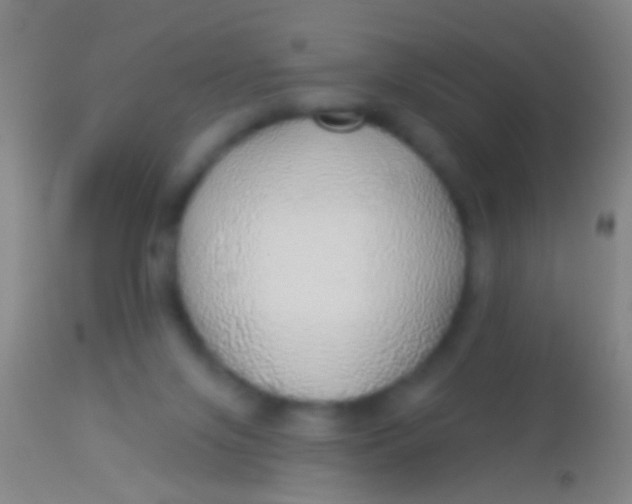 X0000113960071200910162013