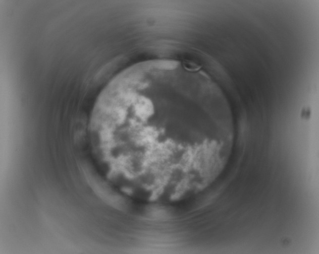 X0000113960073200910162013