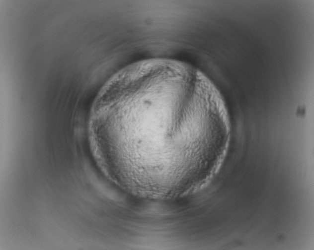 X0000113960074200910162013