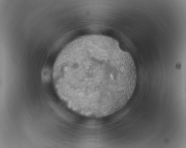 X0000113960075200910162013