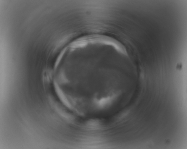 X0000113960076200910162013