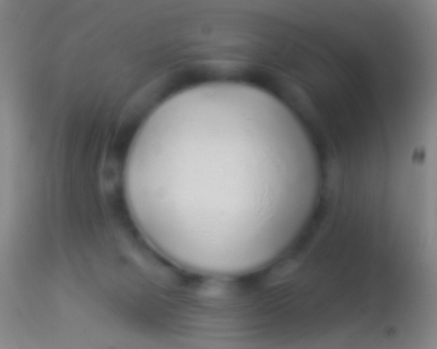 X0000113960077200910162013