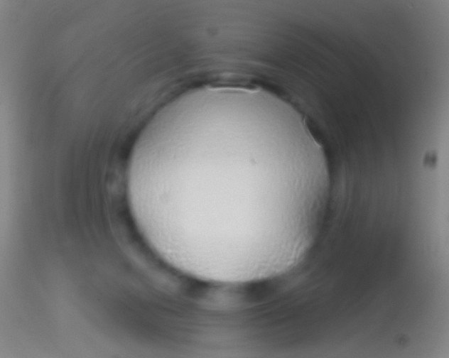 X0000113960078200910162014