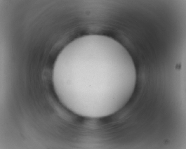 X0000113960079200910162014