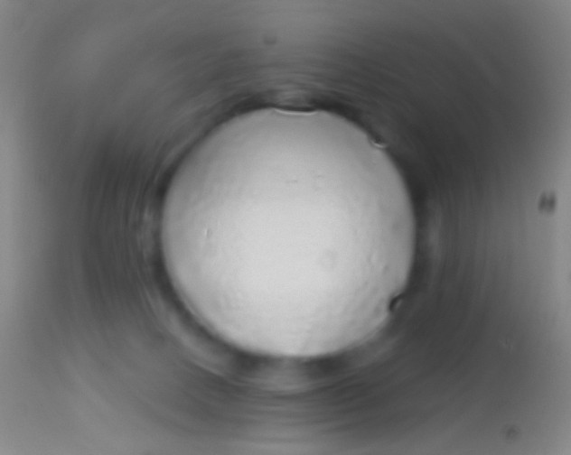 X0000113960082200910162014