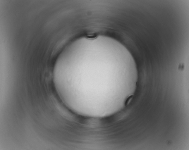 X0000113960085200910162014