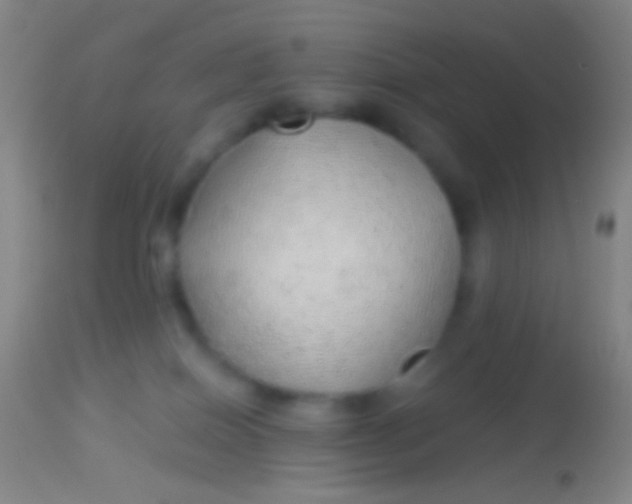 X0000113960086200910162014