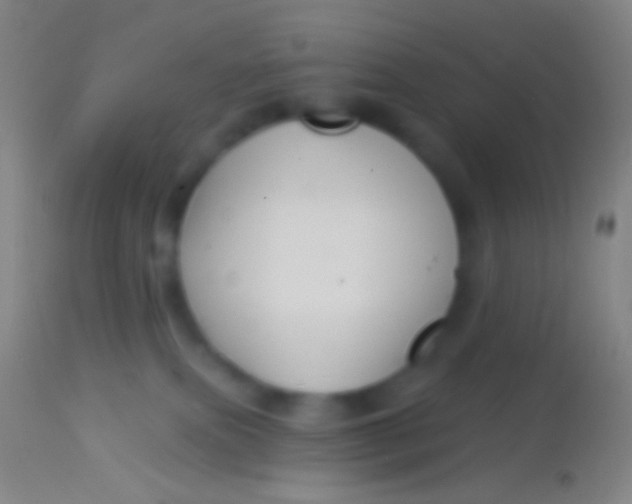 X0000113960087200910162014