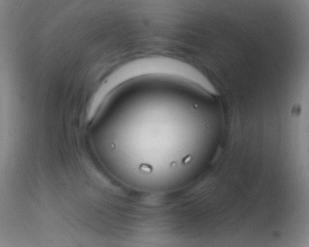 X0000113960088200910162014