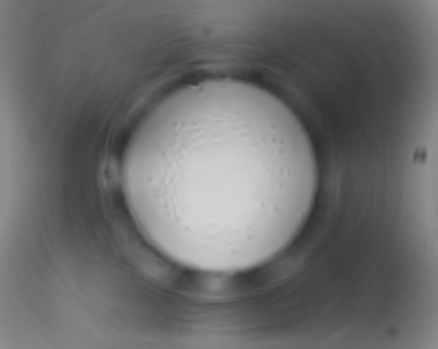 X0000113960089200910162014