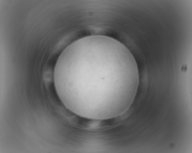 X0000113960090200910162014