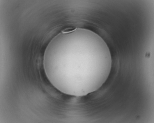 X0000113960092200910162014