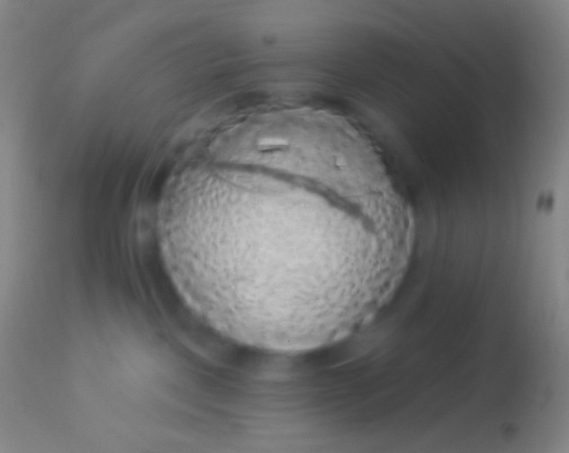 X0000113960093200910162014