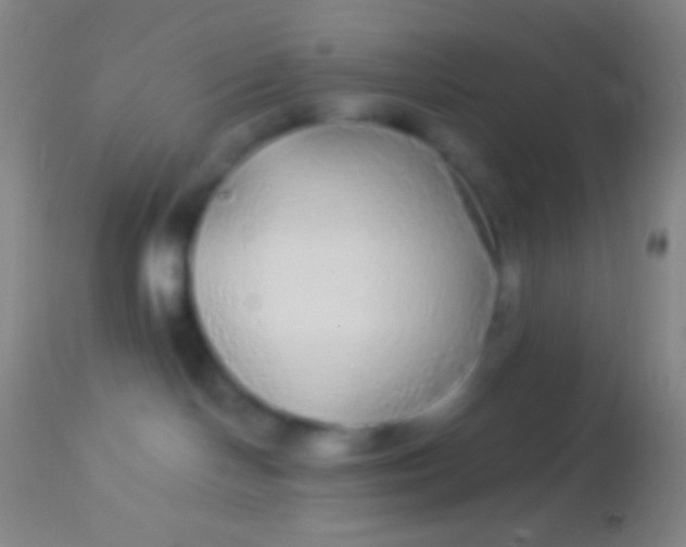 X0000113960094200910162014