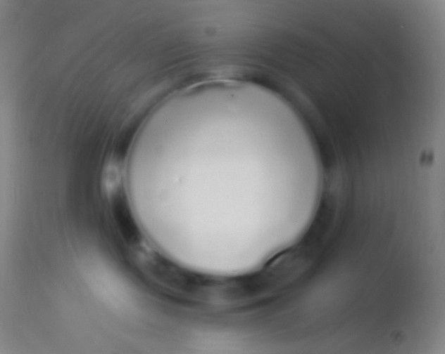 X0000113960095200910162014