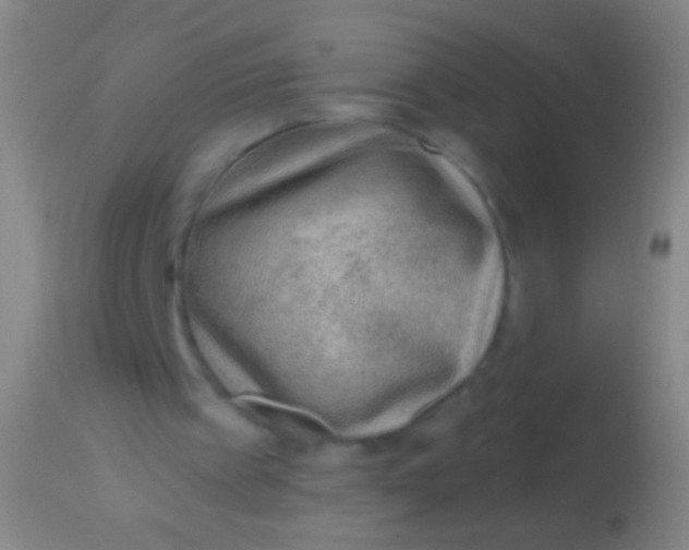 X0000113960097200910162013