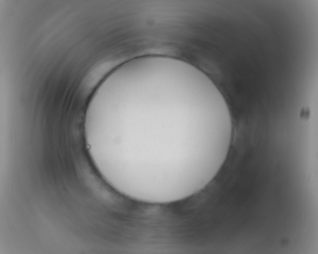 X0000113960098200910162013