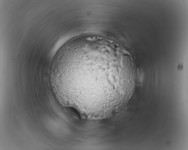 X0000113960099200910162013