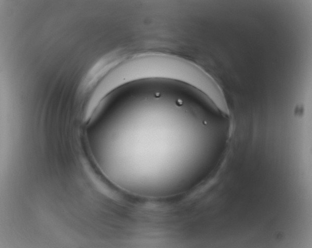 X0000113960101200910162013