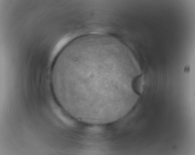 X0000113960102200910162013