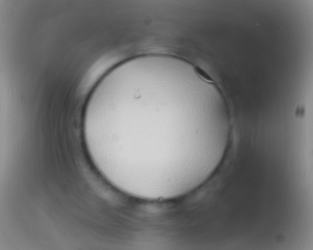 X0000113960103200910162013